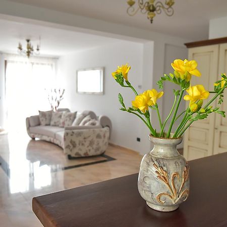 San Grecu House Apartment Fagaras Exterior photo